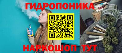 прущие крисы Кулебаки