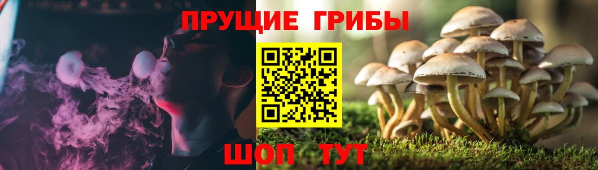 Галлюциногенные грибы мицелий Донецк